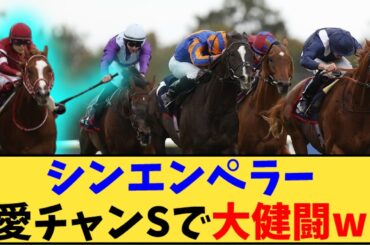 【競馬】「シンエンペラー愛チャンピオンSで3着の大健闘が話題に」に対する反応【反応集】