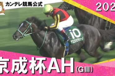 2024年 京成杯オータムハンデキャップ(ＧⅢ) アスコリピチェーノ 【カンテレ公式】