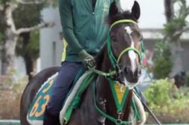 【キーンランドＣ2024】有名人の予想に乗ろう！　徳光和夫さん、鈴木淑子さん、霜降り明星・粗品さんなどズラリ！競馬大好き芸能人・著名人が真剣予想！｜競馬ニュース｜競馬予想のウマニティ