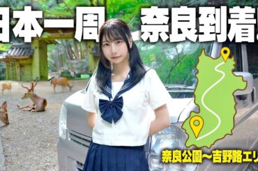 中古の軽バンで日本一周、念願の奈良県にやってきました!!