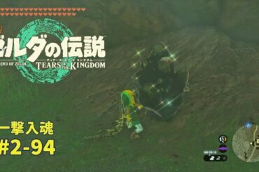 【ティアキン】一撃入魂 #2-94 ゼルダの伝説ティアーズオブザ キングダム2周目　  #ゼルダの伝説 #ティアキン #zelda
