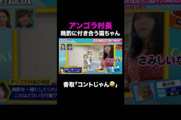 アンゴラ村長の出来事に香取が思わずツッコミ！ ｜#ななにー #稲垣吾郎 #草彅剛 #香取慎吾