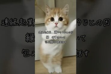 ※てんちむ　５億円訴訟　元彼　連続起業家　溝口ゆうじとの　因縁　精算について話します※