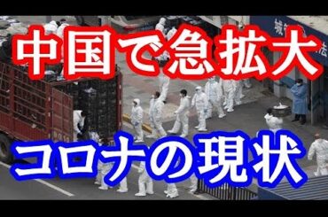 中国 コロナ 現状 2024 中国で新型コロナウイルスの新たな変異株による感染が急増し全国の病院が再び満員となる事態が発生している。この状況は、パンデミック初期の2020年初頭を彷彿とさせる深刻なもの