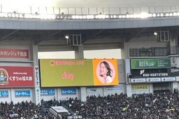 chay あなたに恋をしてみました。