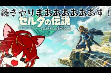 ゼルダの伝説ティアキン まったり攻略