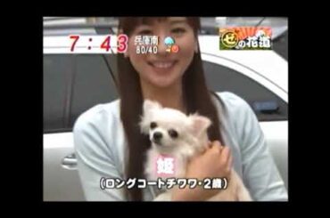 皆藤愛子のoneスポット