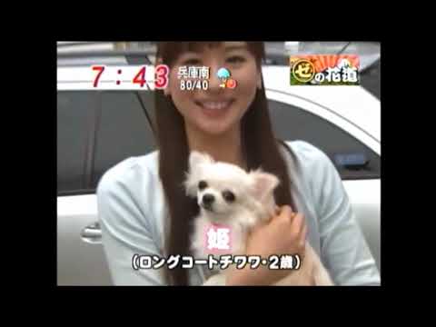皆藤愛子のoneスポット
