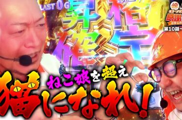 【ねこ娘を超え、猫になれ！】40周年特別企画［キコーナサンクスと行く感謝の旅 ］#10 （1/2）  @777PACHIGABU