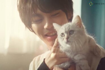 神尾楓珠、子猫にデレデレ一目ぼれ「うちに、くる？」　ある俳優と“運命を感じた瞬間”も明かす　ボートレース2024新CM『カミオとチャンプ篇』