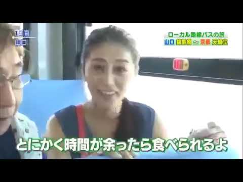 ローカル路線バス乗り継ぎの旅　山口錦帯橋～京都天橋立