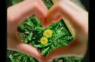 マクドナルド CM 蛯原友里 えびフィレオシリーズ「えびぶりしてる」篇