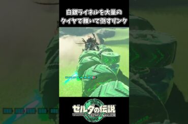 【ティアキン】白銀ライネルを大量のタイヤで轢くリンク【ゼルダの伝説 ティアーズ オブ ザ キングダム】