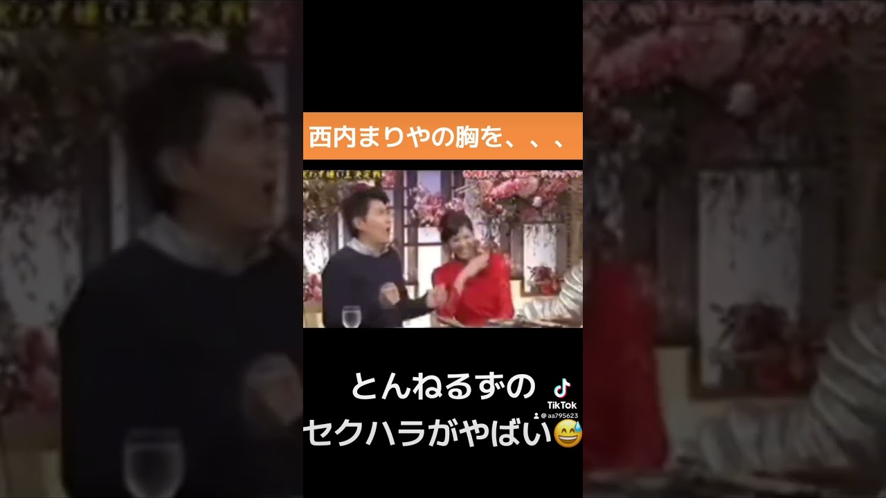 西内まりやの胸を触るとんねるず石橋貴明#西内まりや#石橋貴明