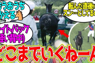 ライトバック ← これが今年の桜花賞オークス3着馬の走りか…に対するみんなの反応！【競馬 の反応集】