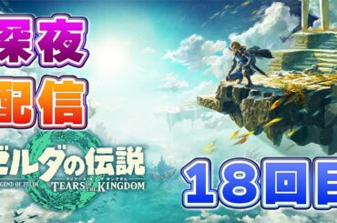 【ゼルダの伝説　ティアーズ オブ ザ キングダム】深夜配信#18