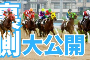 競走馬の朝は早い？浦和競馬の厩舎に潜入！【いまドキッ！埼玉】2024.9.14放送