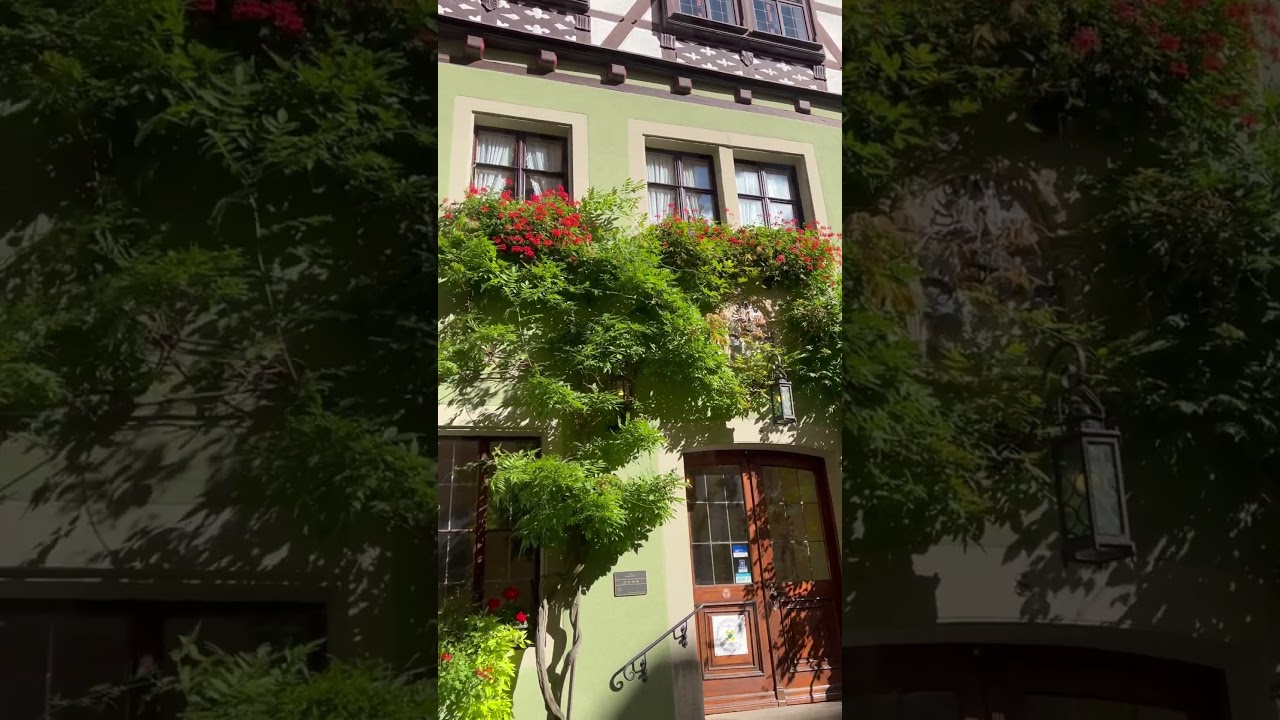 【ローテンブルク/ドイツ🇩🇪】アナザースカイで山本美月が訪れたレストラン🍽️#ドイツ#ローテンブルク#germany #rothenburg #山本美月