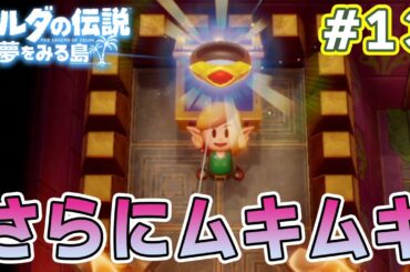 ゼルダの伝説の名作『夢をみる島』で初見完全クリアを目指してみる！#13【ぽんすけ】