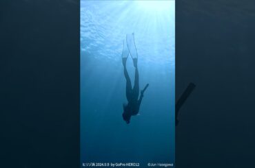 ヒリゾ浜に舞う 2024.9.9