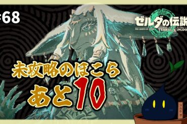 【ゼルダの伝説 ティアーズ オブ ザ キングダム】#68 もうすぐで未攻略の祠の数が一桁に…