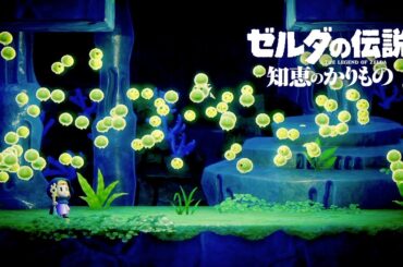 ゼルダガチ勢が最新作知恵のかりものを最速プレイしていくぞ！#4 【ハイラル城再び編】【ゼルダの伝説知恵のかりもの】