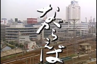 テレビドラマ　ながらえば