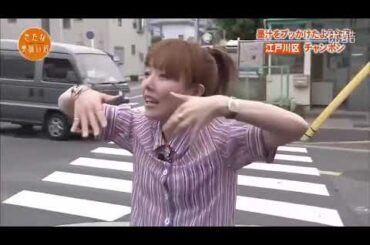 とんねるず石橋貴明  有吉  堀北真希 名場面集