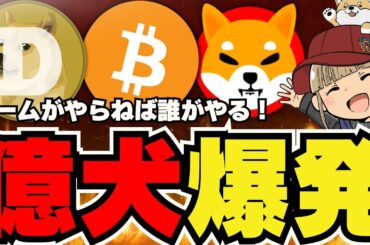 【🔥SHIBドージ爆発】ビットコイン上昇継続！過去最高値はいつ？／ミームコイン祭り！クジラが動いた／大統領選・ハリスがついに仮想通貨支持？いや怪しいやろｗ