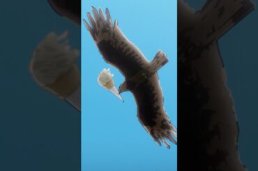 「獲物にされてる！」ぼっち・ざ・ぷれいばっく！#09 ｜「劇場総集編ぼっち・ざ・ろっく！ Re:」絶賛上映中！  #ぼっちざろっく #shorts