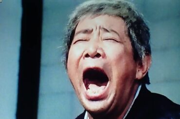 大江戸捜査網杉良太郎ﾊﾞｰｼﾞｮﾝ２　悪人と笛吹き少女　　　　　　中谷一郎､麻田ルミ､桑山正一､田中浩二､岡部健､泉田洋志　