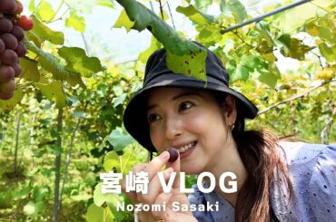 オフの日の旅行Vlog｜宮崎県でおいしいものと自然に癒されてきました🌿