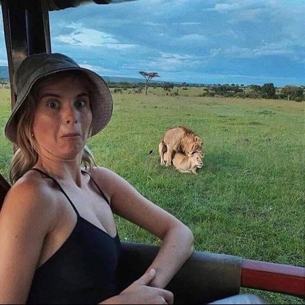 no title
