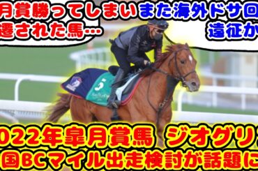 【競馬】皐月賞馬ジオグリフ アメリカのBCマイル出走を検討！が話題に！！【競馬の反応集】