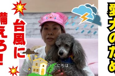 〜愛犬のため〜台風に備えろ！