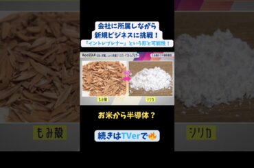 【#BooSTAR】「お米」から「半導体」？ #スタートアップ #入山章栄 #弘中綾香 #伊藤直也 #会社員 #起業 #テレビ朝日