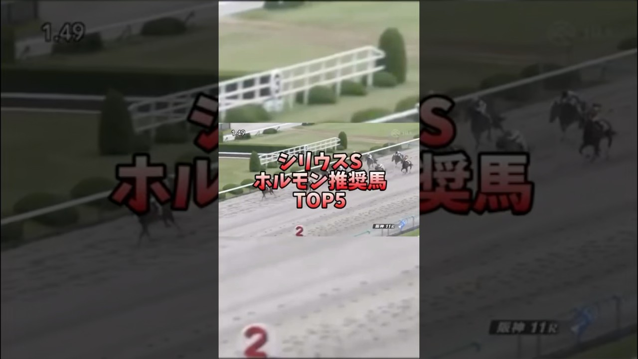 【競馬予想】シリウスS 2024ホルモン推奨馬 #競馬 #シリウスステークス #オメガギネス #シリウス #藍井エイル #アレグリア #シルクドソレイユ