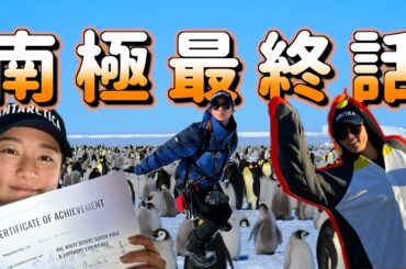 【南極大陸】生きもの好きの極み【世界一過酷な子育て】