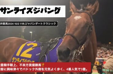 【JDC】武豊騎手鞍上、不来方賞優勝馬のサンライズジパング🇯🇵観客に興味津々で勢いよくパドック外側を元気に歩く🐎このJDCを4番人気で3着。