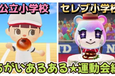 【あつ森アニメ】公立小学校とセレブ小学校のちがい★運動会編【あつまれどうぶつの森】