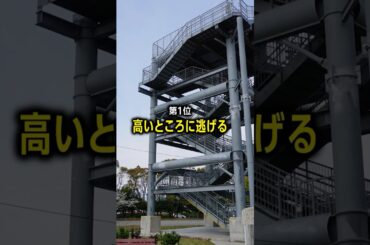 【絶対覚えて】津波避難で重要なこと