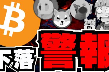【🔥4万ドルに下落？】ビットコインに不吉な予想。仮想通貨どうなる？／ミームコインも下落中。POPCATだけ絶好調／急上昇コインは〇〇