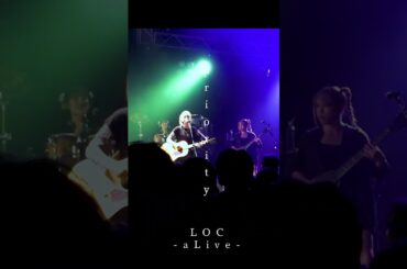 LOC #エルオーシー 『#aLive 』 #shorts #バンド #loc #girlsband #邦ロック #rockband