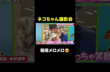 稲垣吾郎 ネコに囲まれ最高の笑顔😍 ｜#ななにー #稲垣吾郎 #草彅剛 #香取慎吾