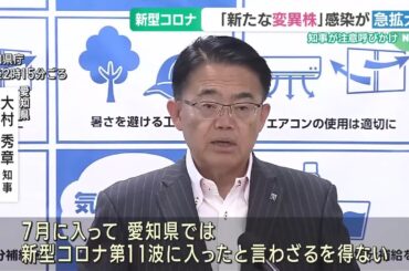 新型コロナ感染拡大で大村愛知県知事が緊急会見「第11波に入ったと言わざるを得えない」 (24/07/19 15:06)