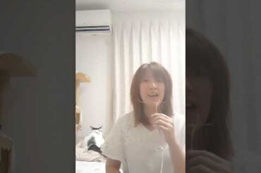 太陽のアラベスク / 秋山絵美