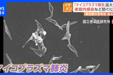 主な症状は発熱や長引く咳…マイコプラズマ肺炎が流行　1医療機関あたり2.80人と統計開始以降最多に｜TBS NEWS DIG