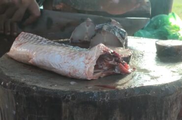 Delicious Big Hilsa & Rohu Fish Cutting Skills In Fish Market