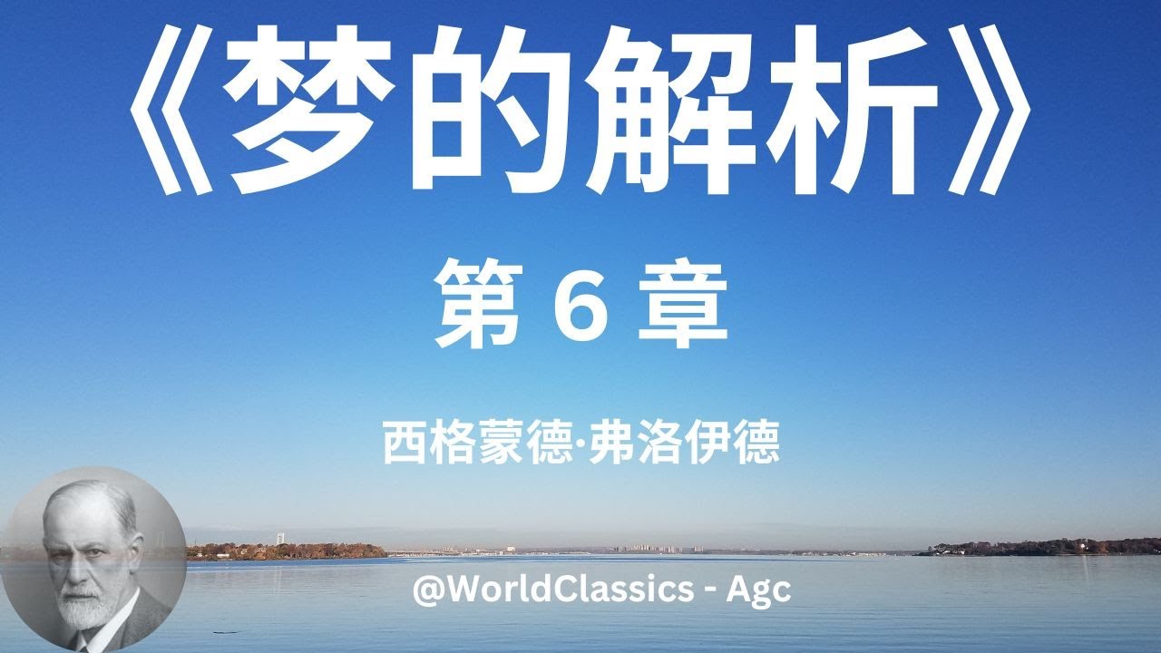 《梦的释译》 - 西格蒙德·弗洛伊德  第 6 章