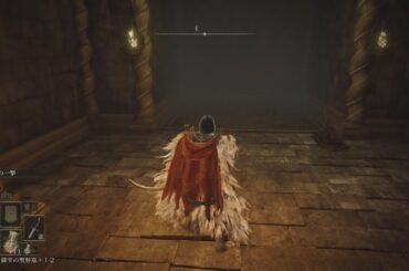 ELDEN RING_20240623220528